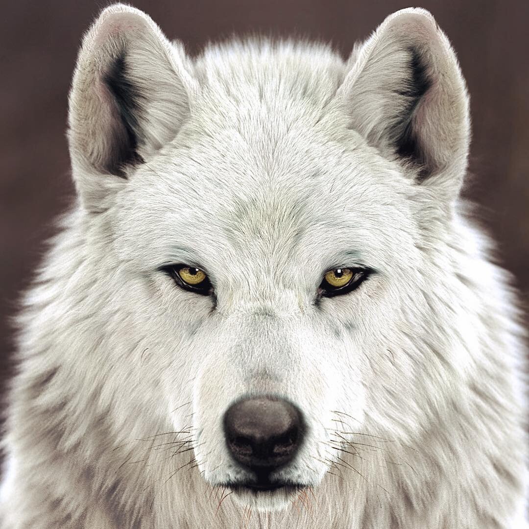 artstation