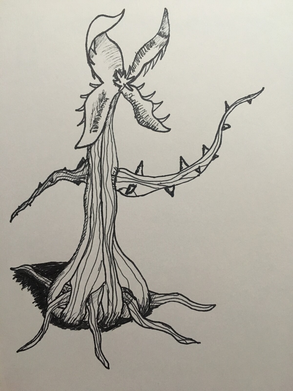 Plant