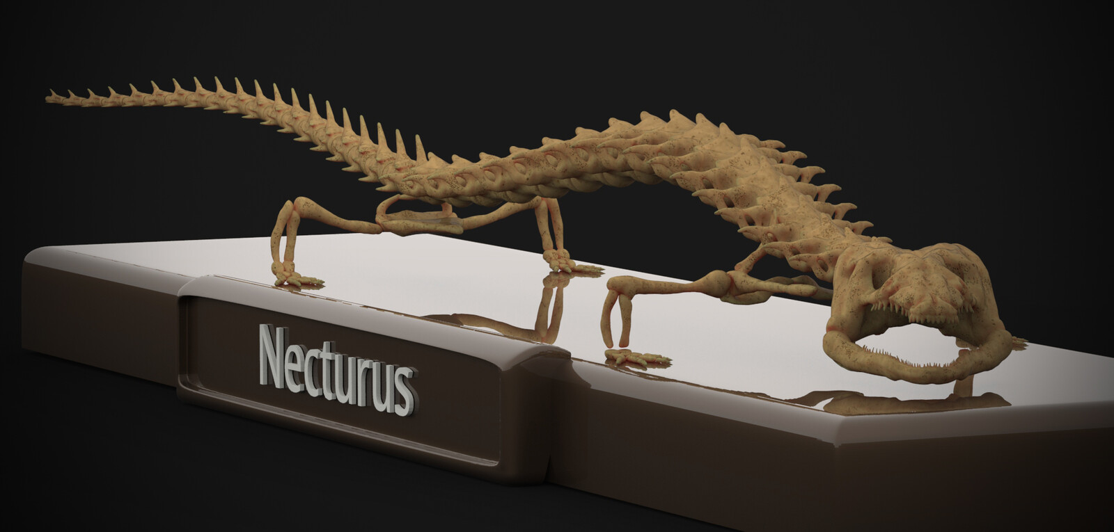 Necturus