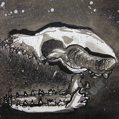 Maria crawford illustration skull
