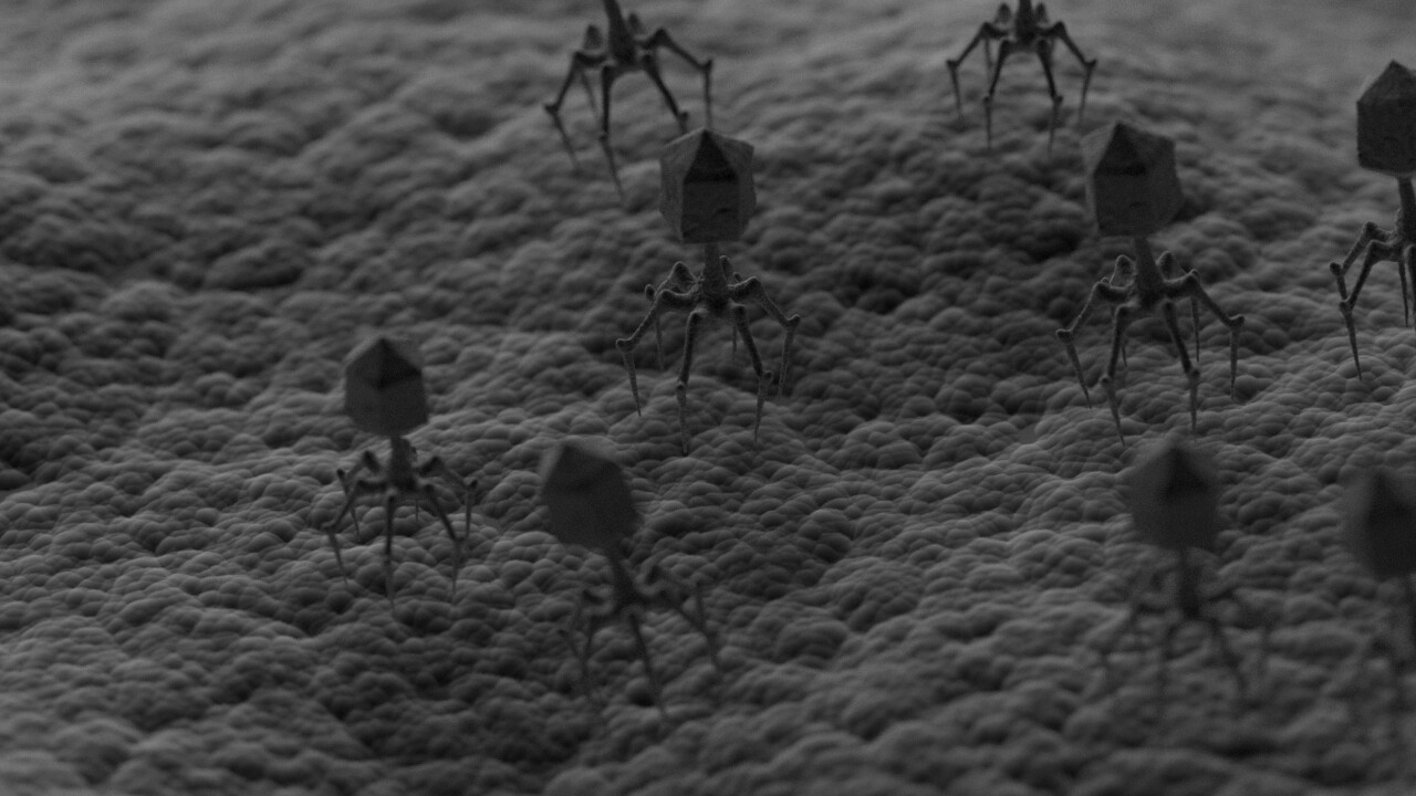 Аn attempt to imagine what bacteria and bacteriophages look like under a microscope.