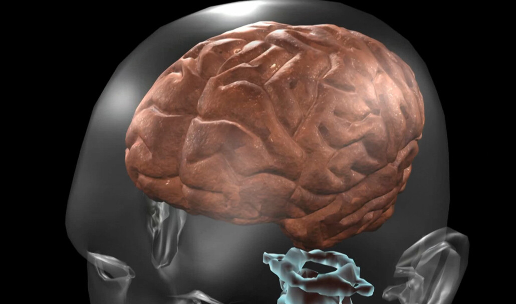 Brain видео