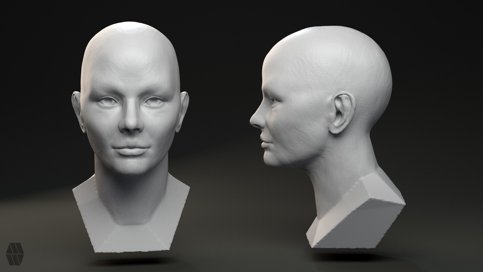 Anatomy Study 04 Speed sculpt