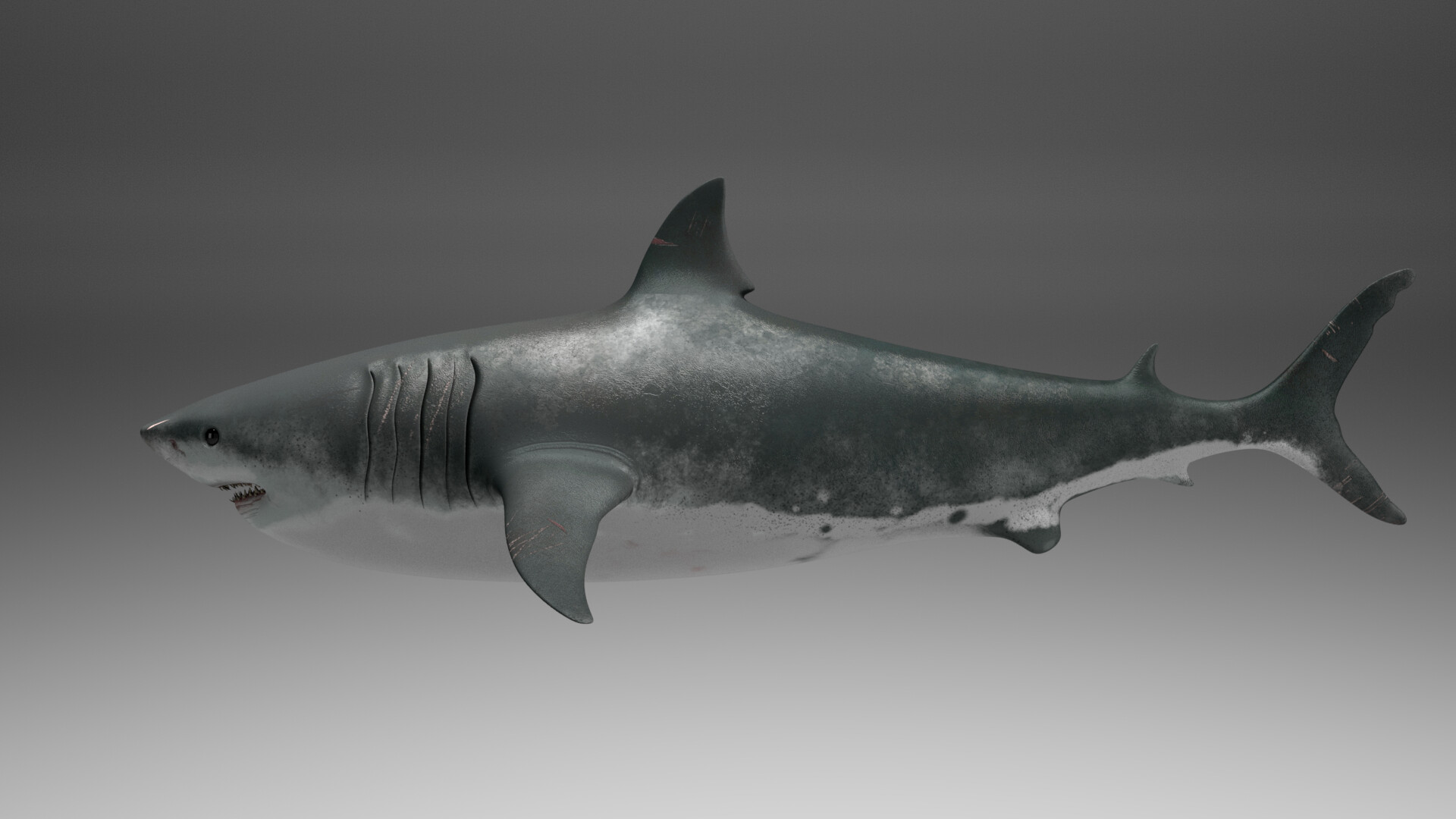 Artstation Great White Shark Manuella Nagiel Escobar