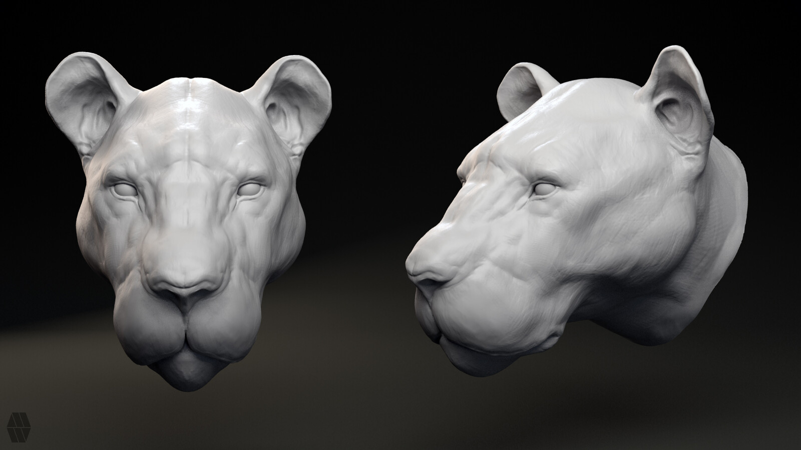 Animal Anatomy Studies 05 Speed Sculpt 