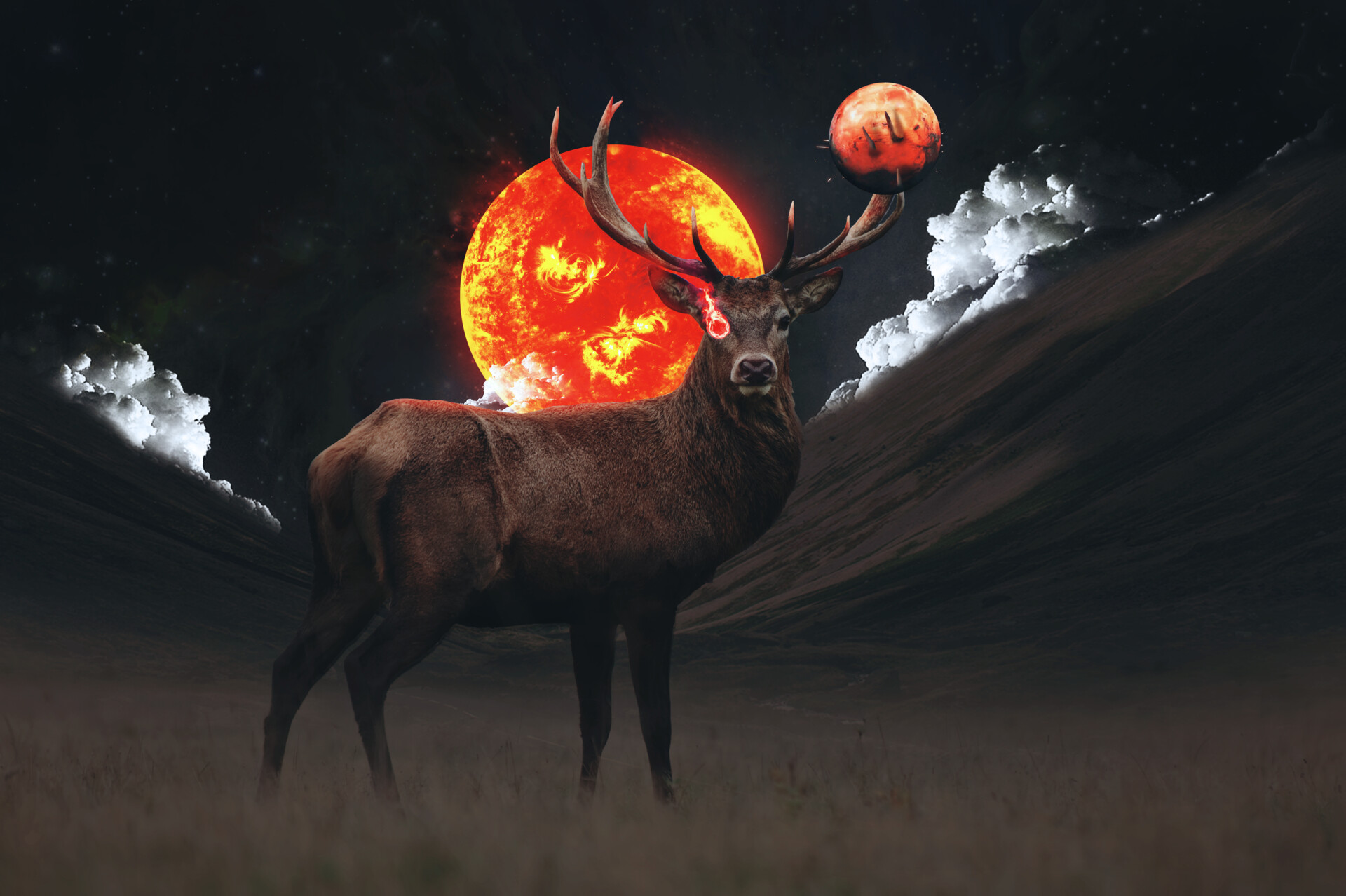 ruhan deer photoshop manipulation