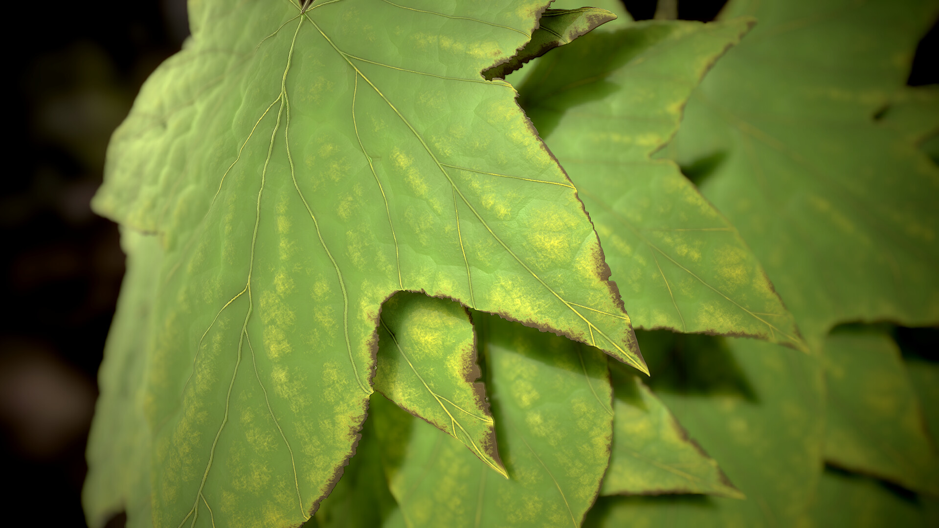 Fabrizio Bergamo - Leaf Generator