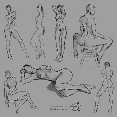 Studies