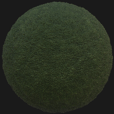 Grass texture Pbr 