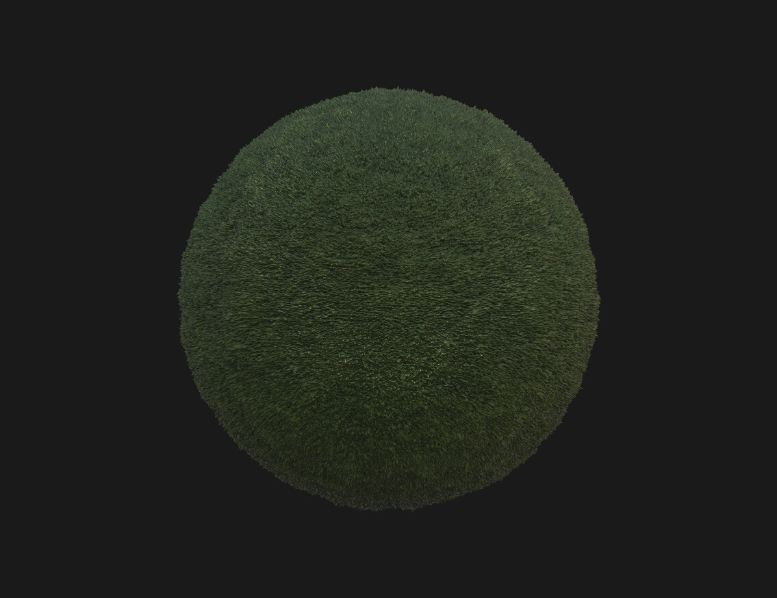 Grass texture Pbr 