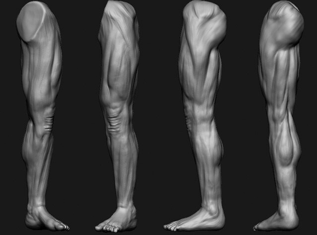 ArtStation - leg