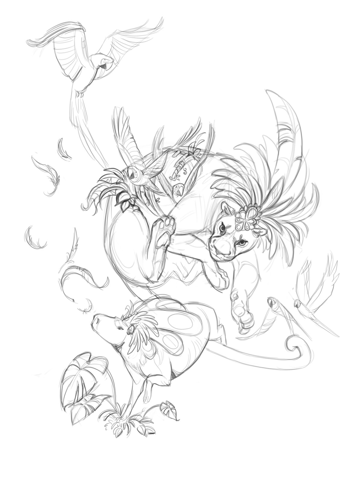 Sketch