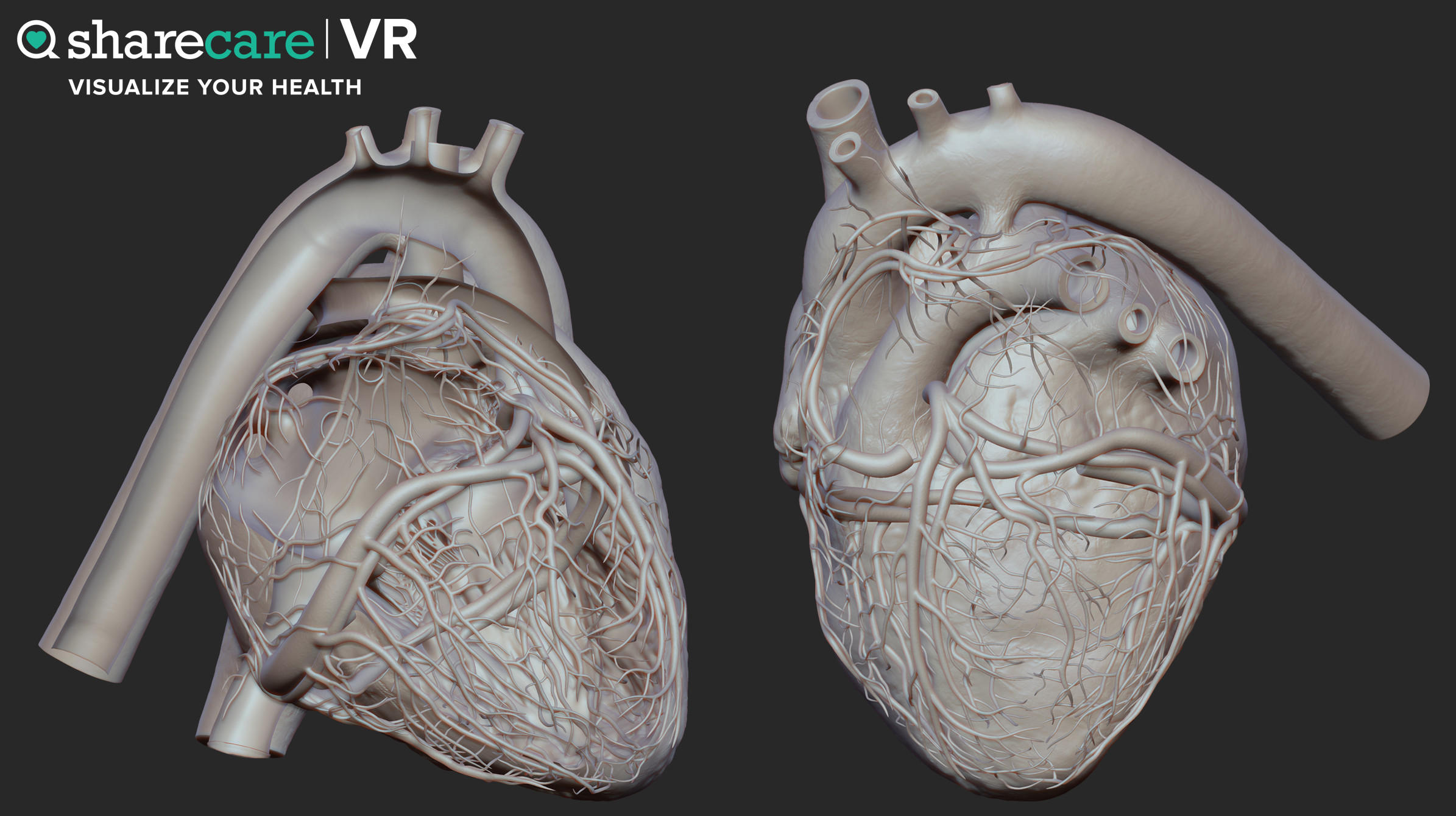 Sharecare Reality Lab Heart