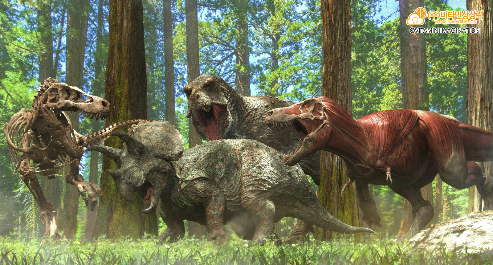 Tricetatops VS T-rex 3 brothers