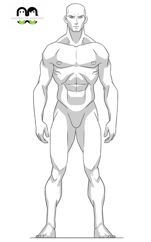 How to Draw the Male Figure and Torso Muscles - YouTube