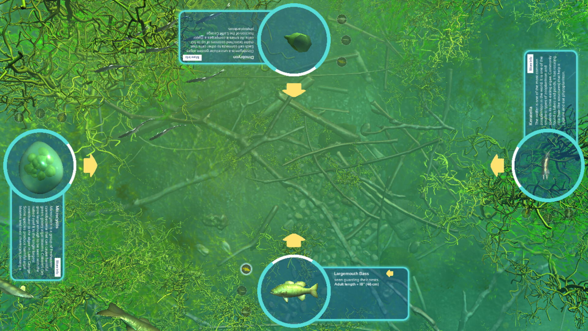 Artstation Game Ui World Of Plankton Autumn Walters
