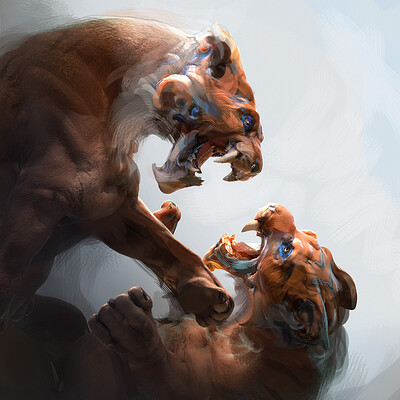 Tyler smith tigerfightmarm01