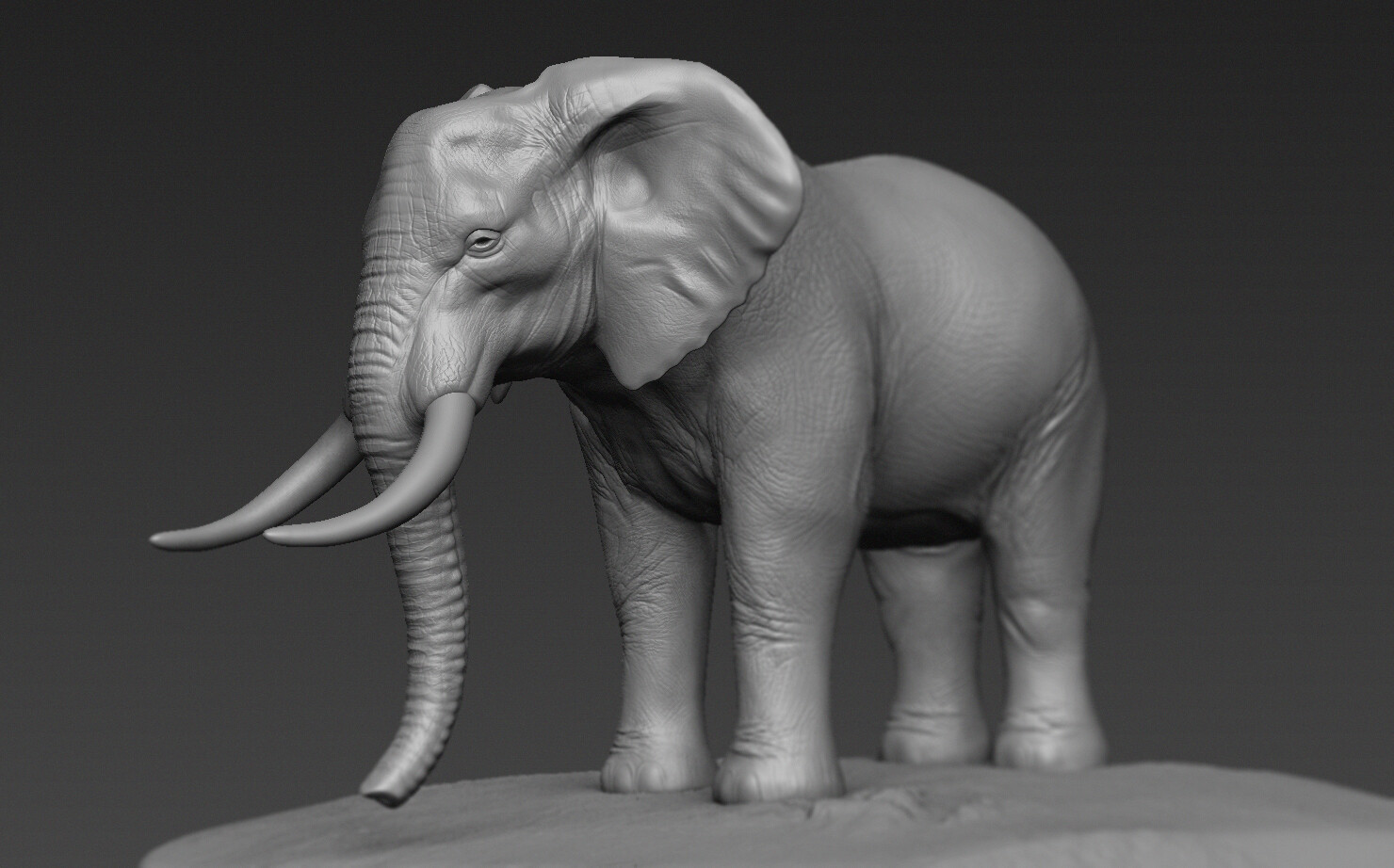 Emily Blunt Photoshoot Elephant Models