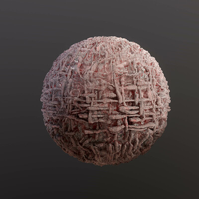 Sami bashir ribs sphere
