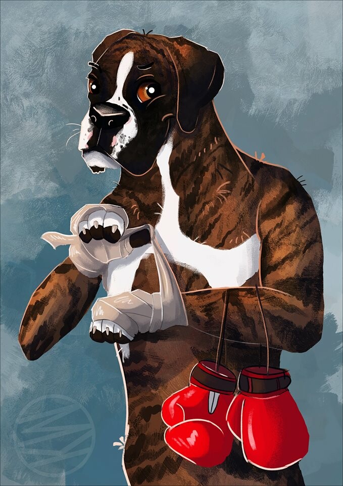 Mk boxer cheap