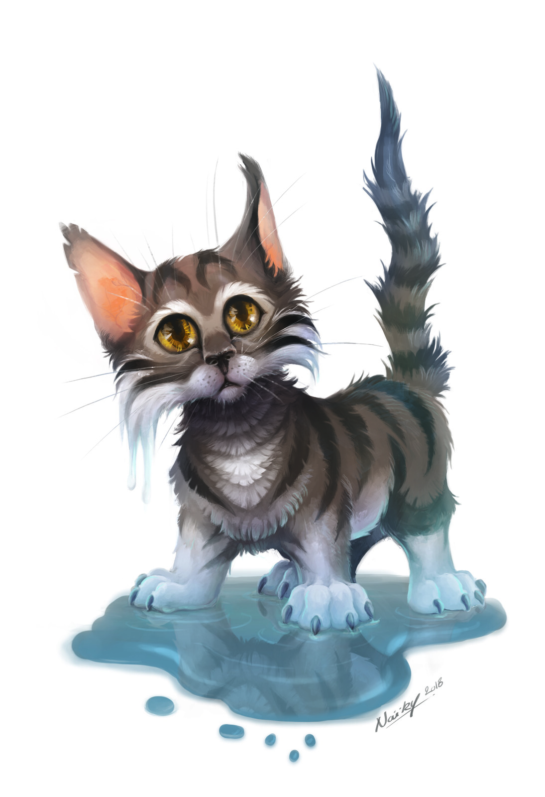 Cat
