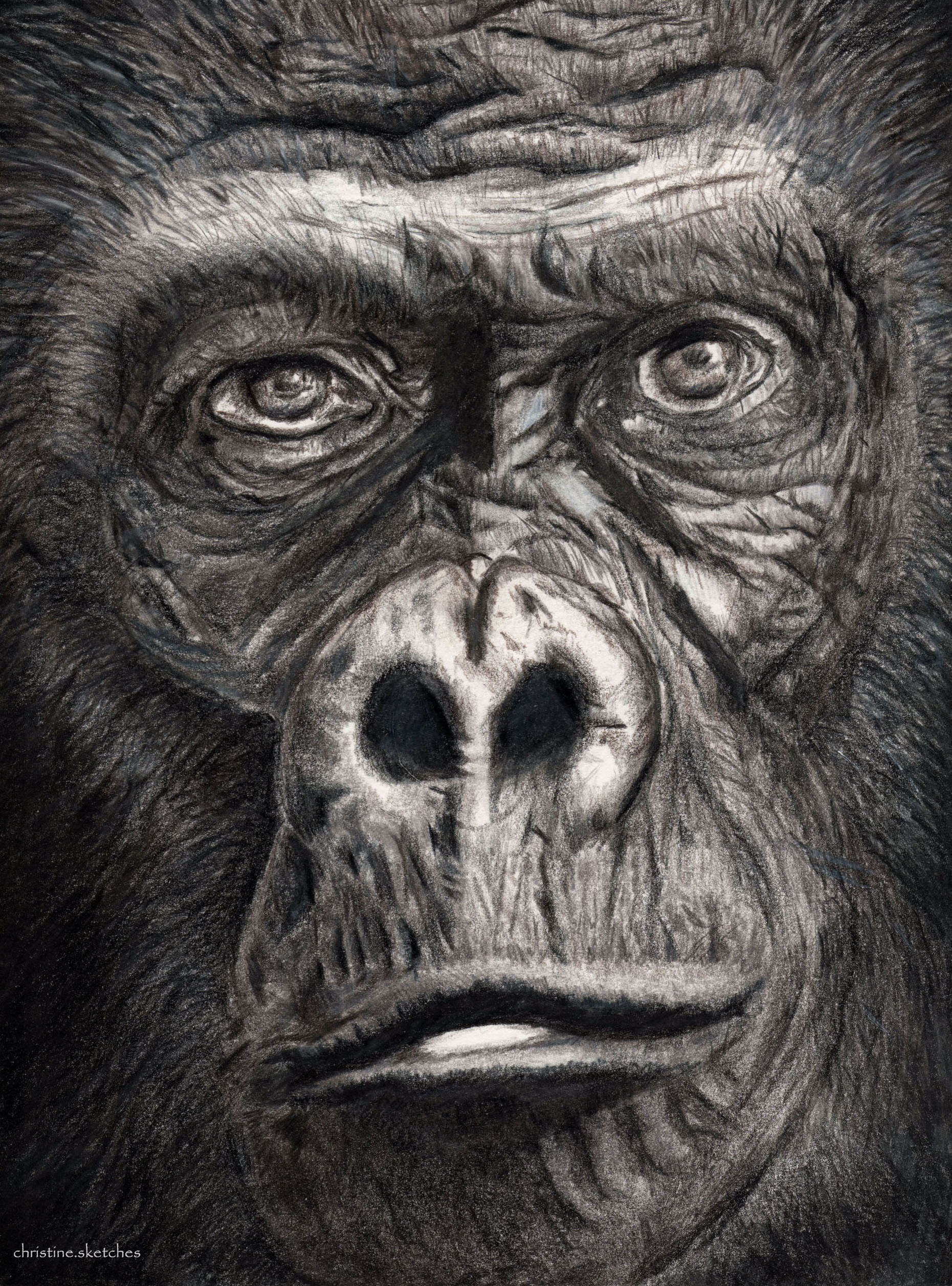 Artstation Gorilla Christine Noels,Simple Mandala Art Drawings