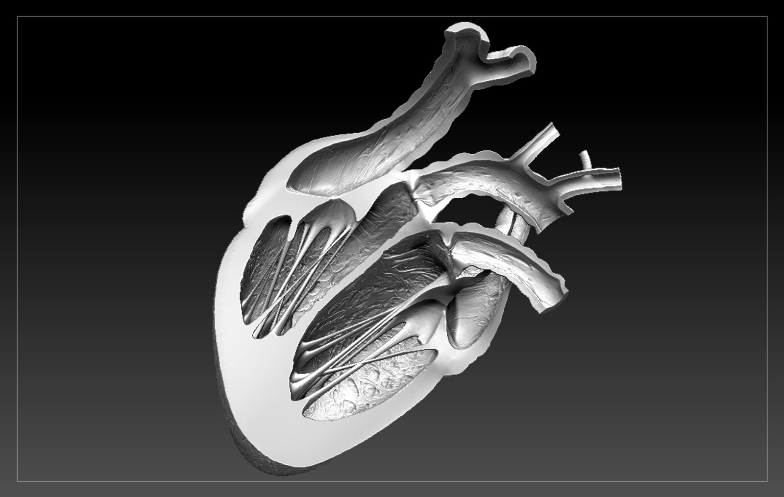 Stl 3d печати. 3д модель сердце STL. Слайс 3д модели. 3д модель для науки. 3d модель член для печати.