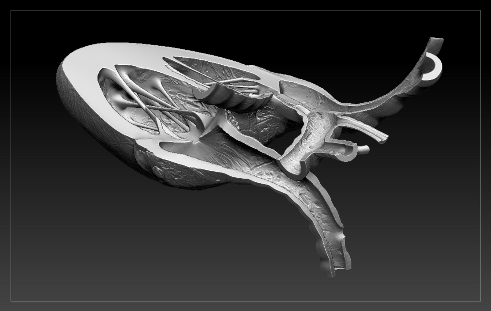 Stl для принтера. Шноз STL. 3d-печать dickasaurus. 3в модель Пуджа.STL. Сердце STL модель.