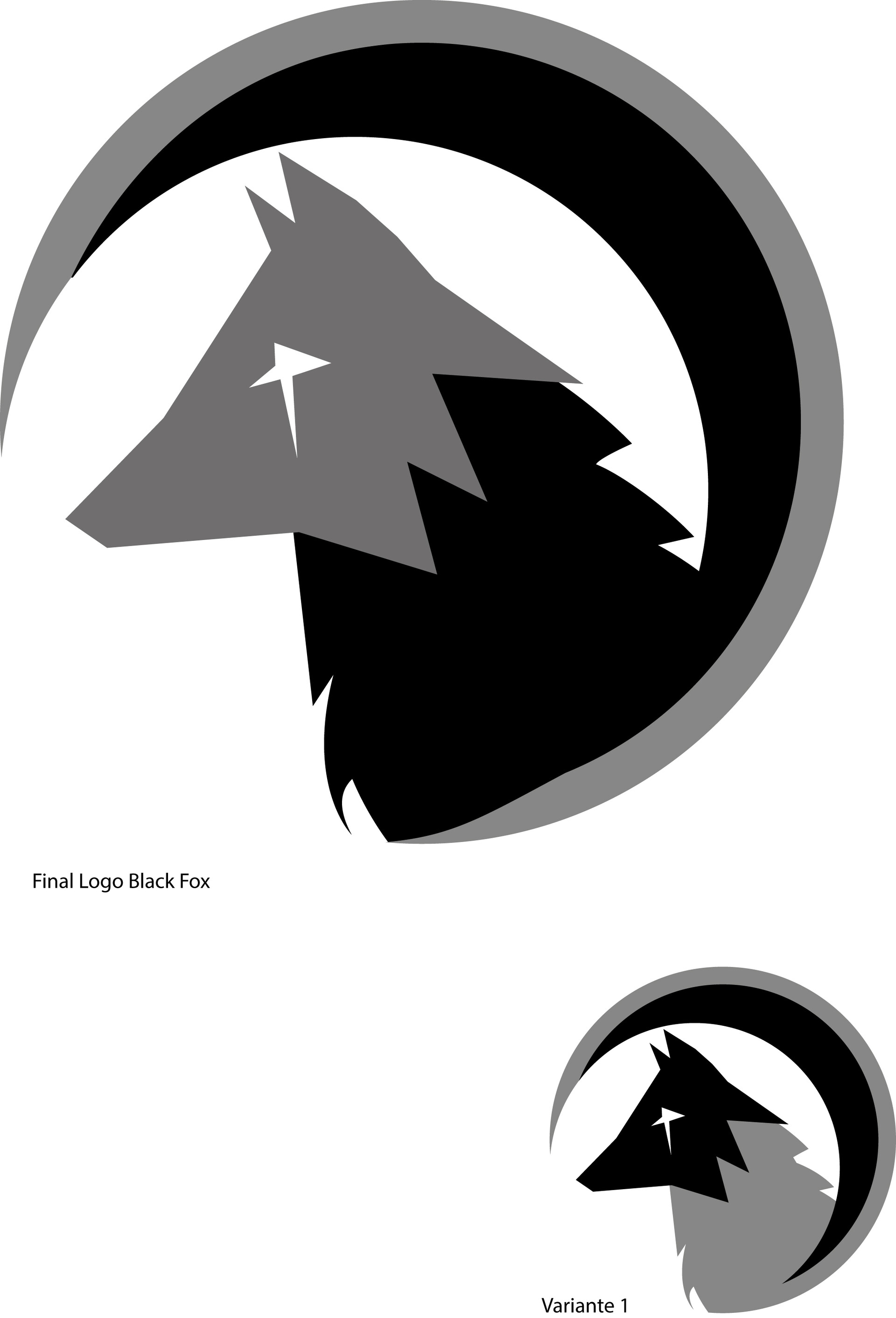 Valentin Nortier Fox Unit Blason