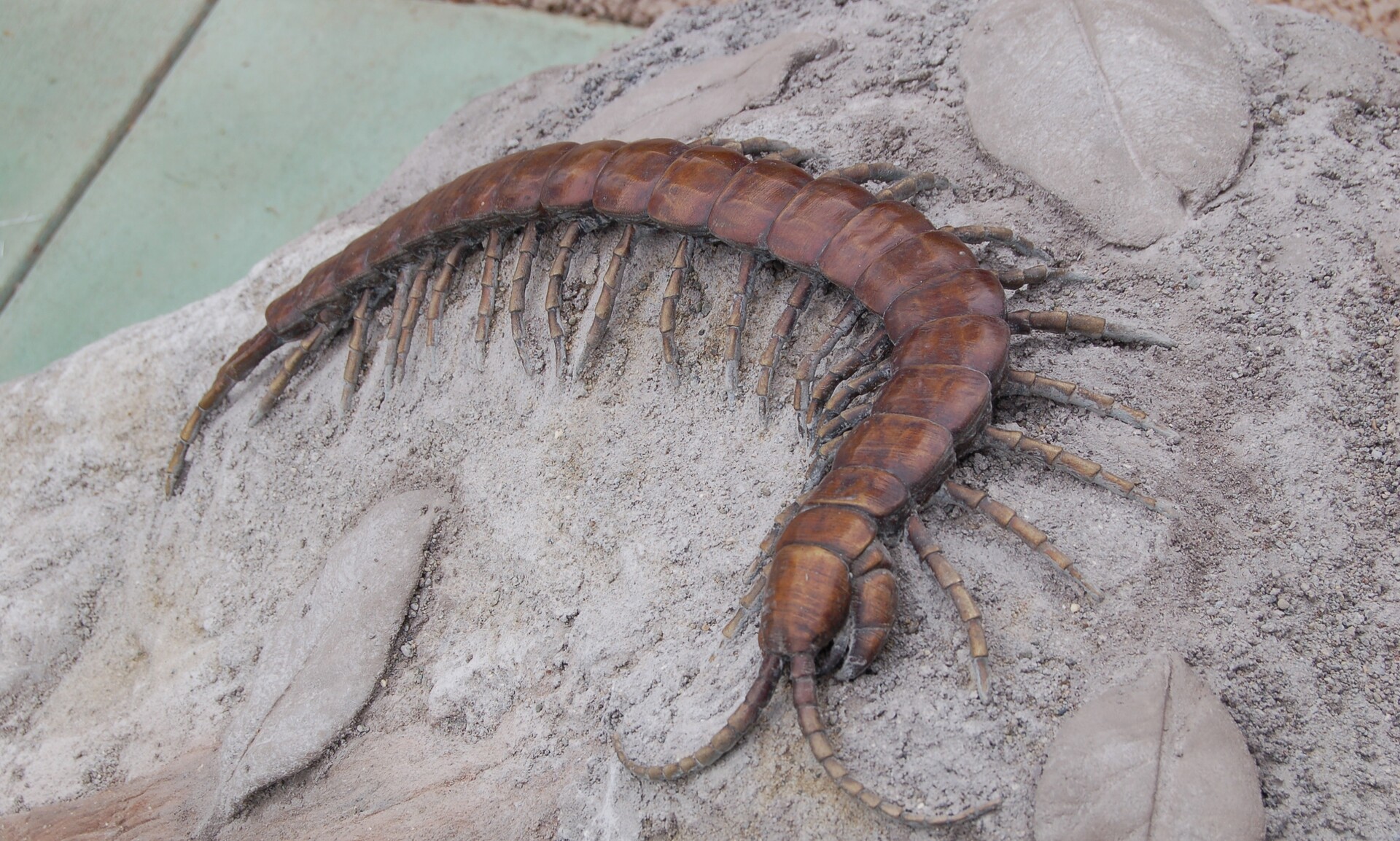 Tan Bi - Centipede.