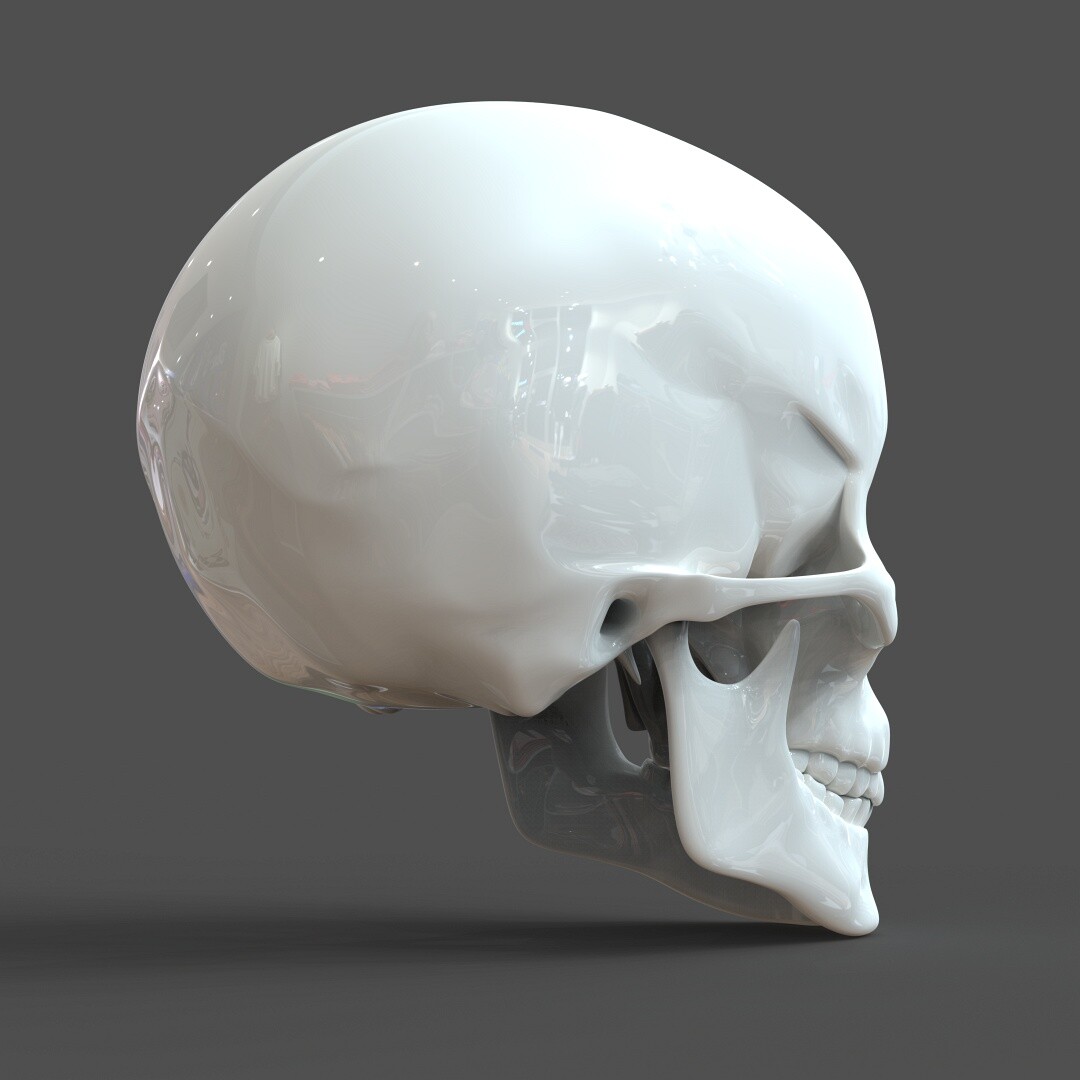 Artstation Cad Compatible Human Skull Model M3p1d1v1skull