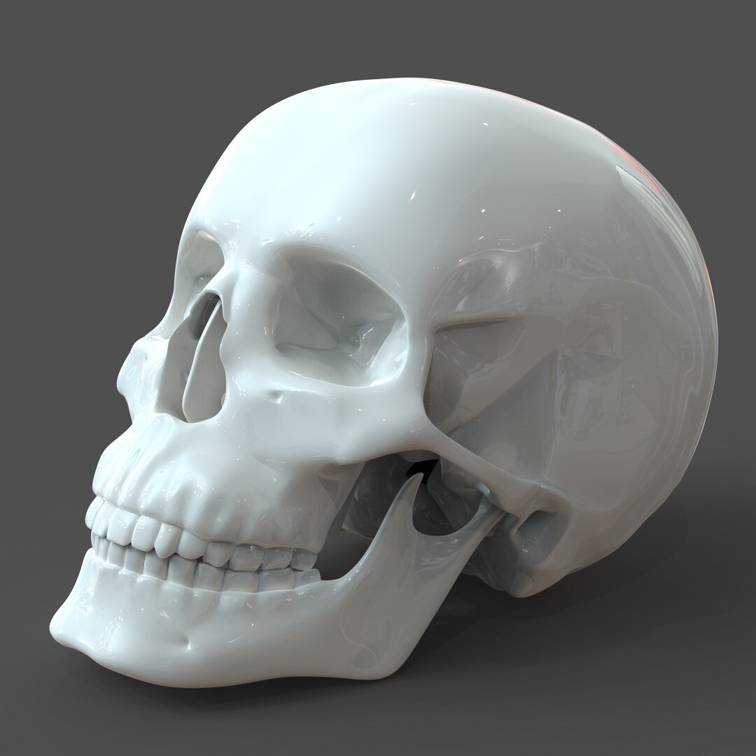 Artstation Cad Compatible Human Skull Model M3p1d1v1skull
