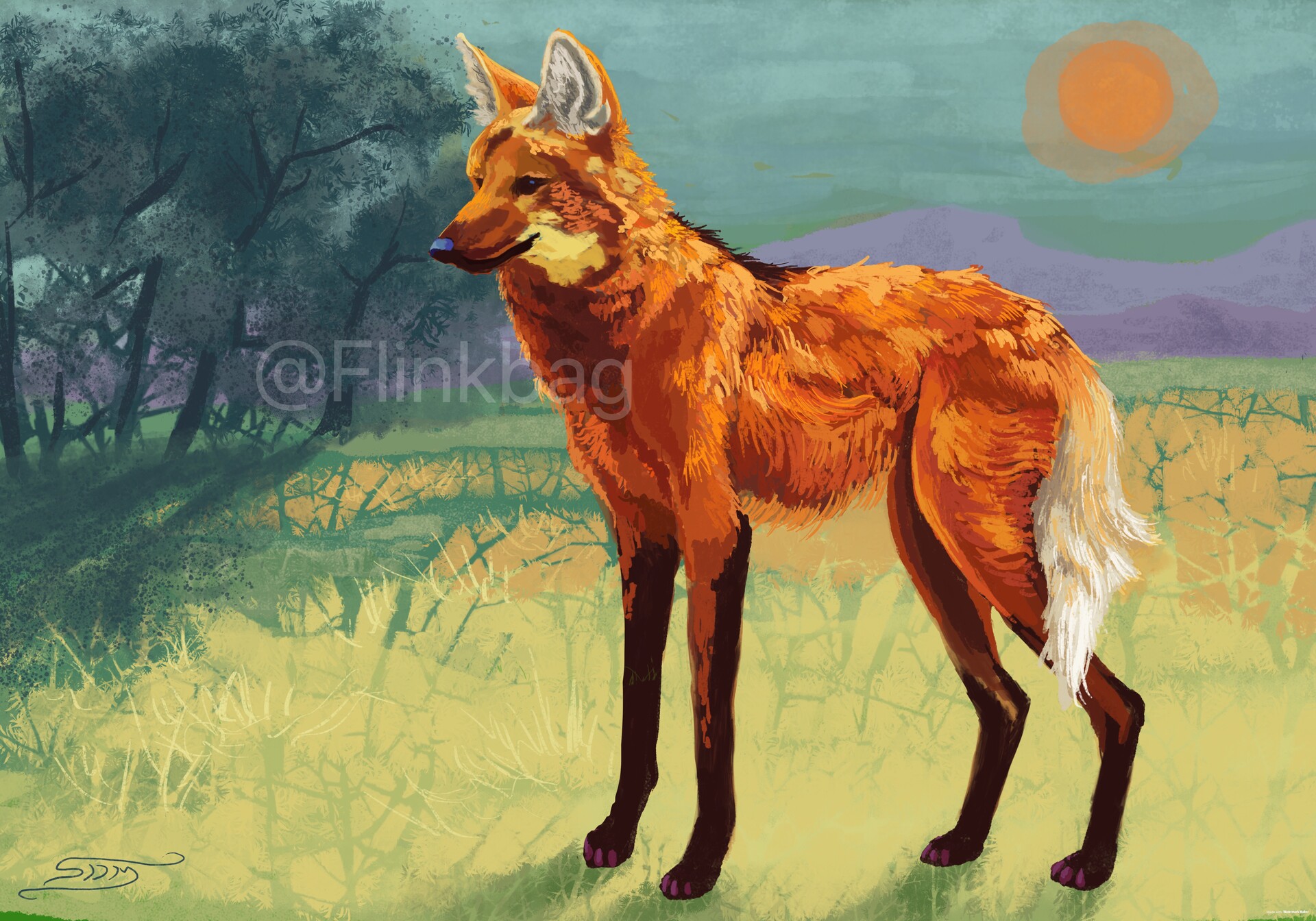 Artstation Digital Maned Wolf Painting Sophie Maguire