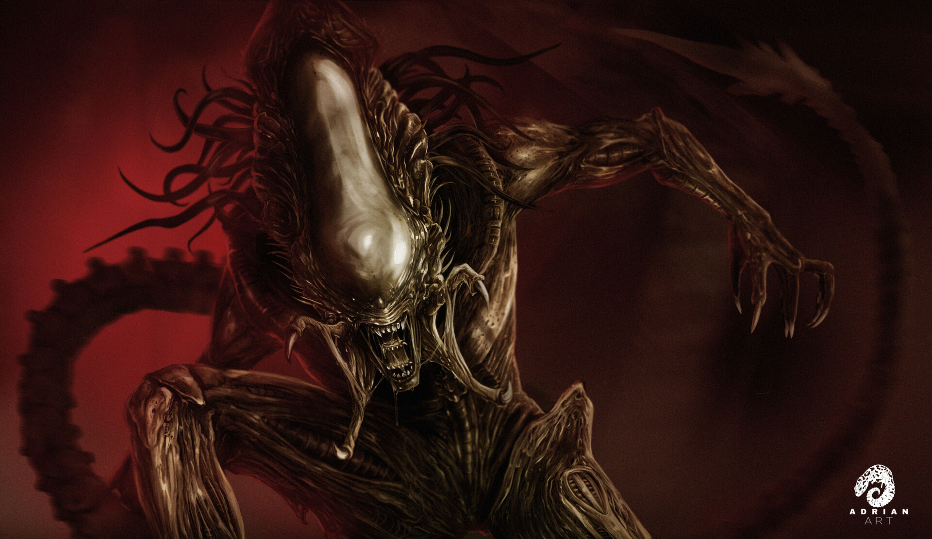 #Alien #predator #predalien. 