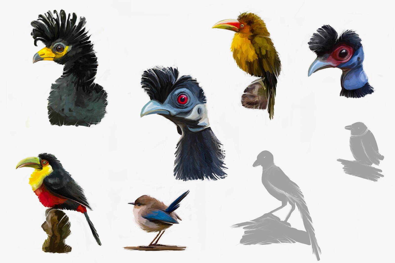 Thumbnails of birds