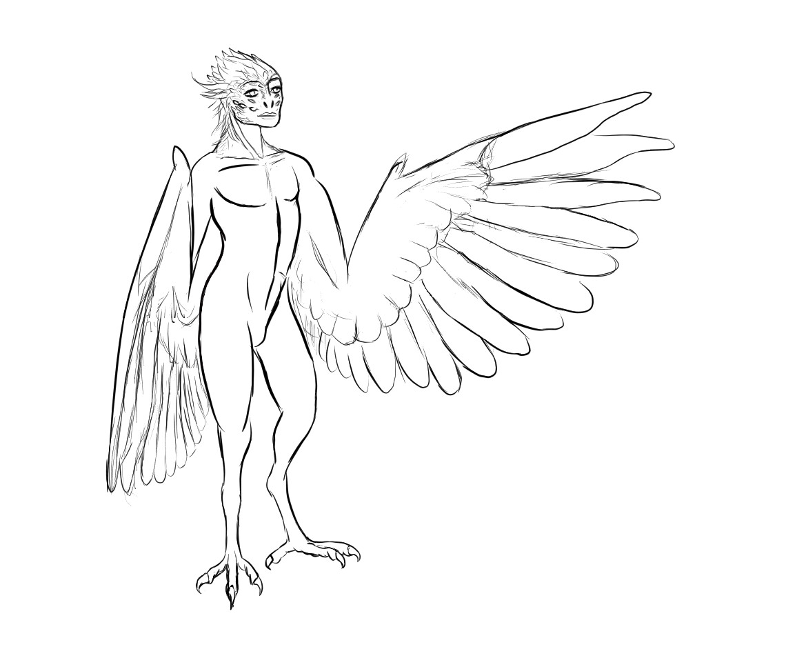 Artstation Harpy Reference Sheet Charles Mccracken,Flower Drawing Border Corak Bunga Simple