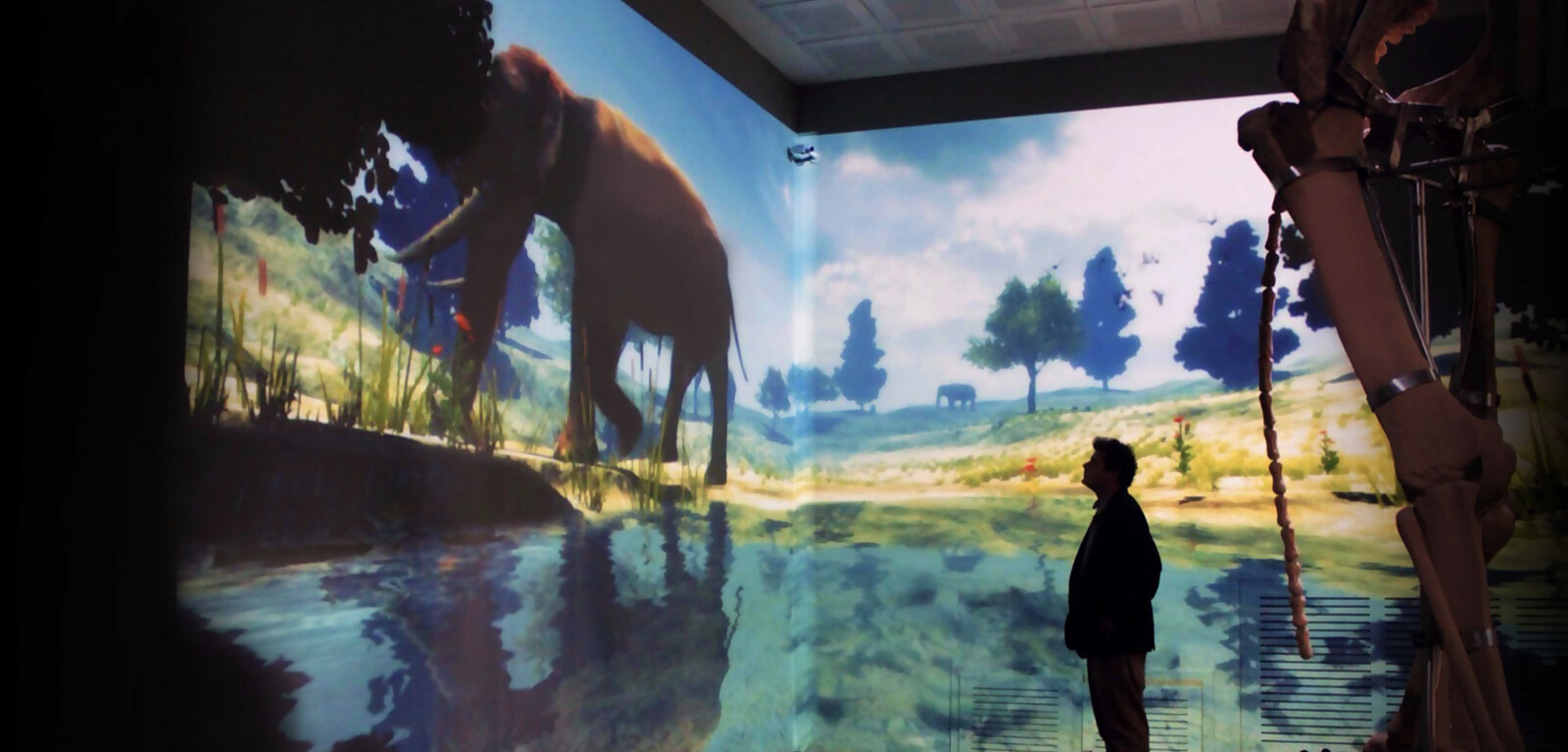  interactive virtual life simulation of the extinct Maras elephant, Maras Museum, 2012 