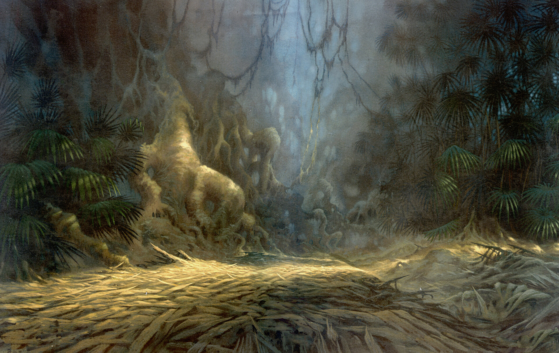 Tarzan Disney Wallpapers