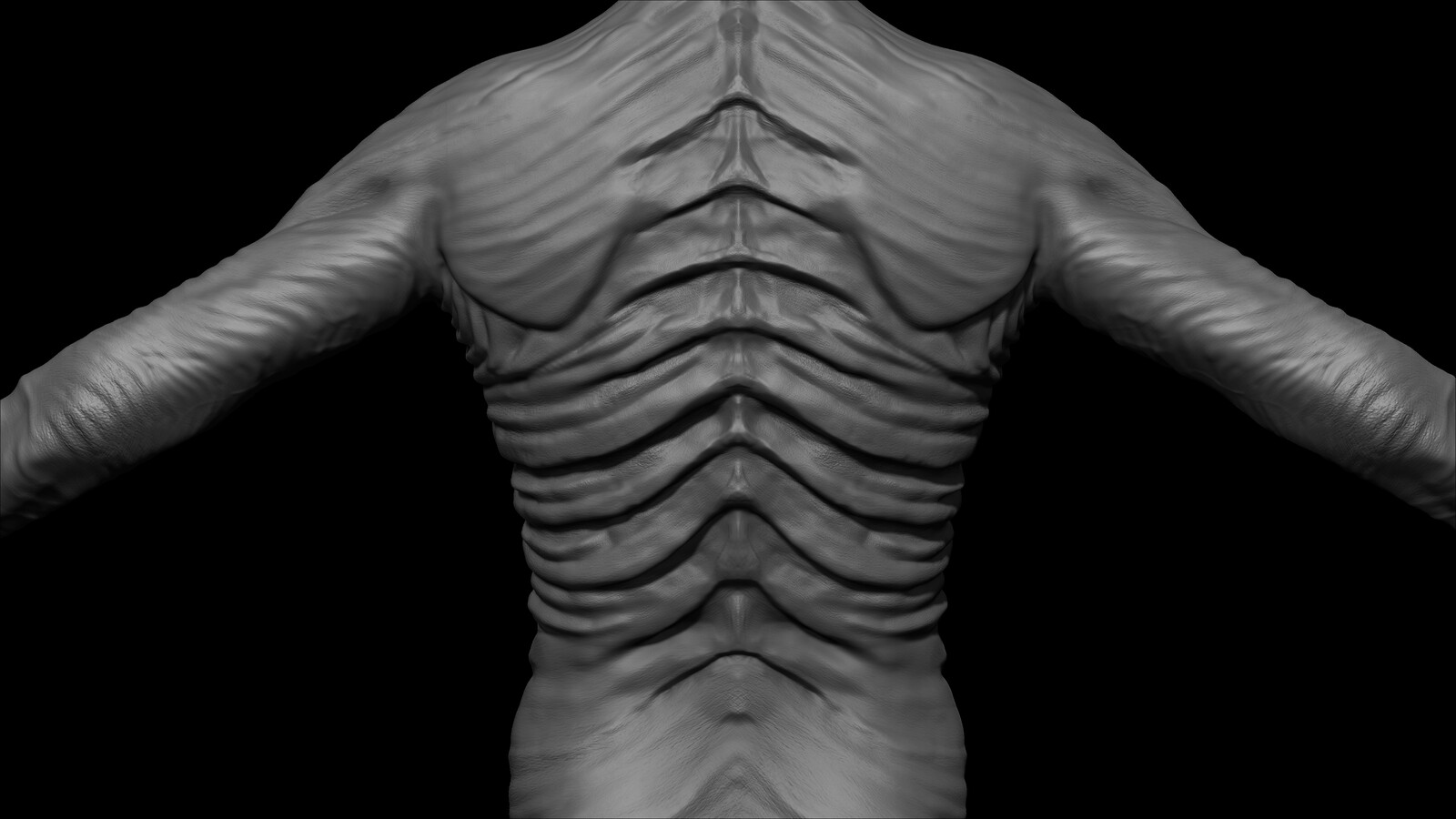torso back view