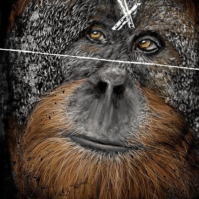 Rulio art orangoutanweb