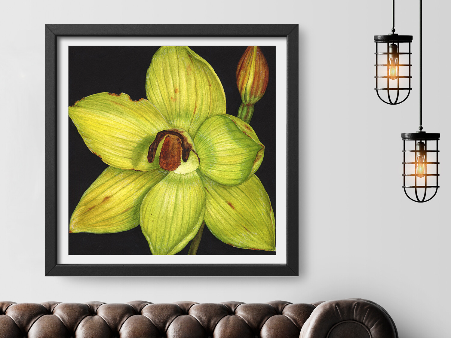 Thelymitra psammophila botanical painting.