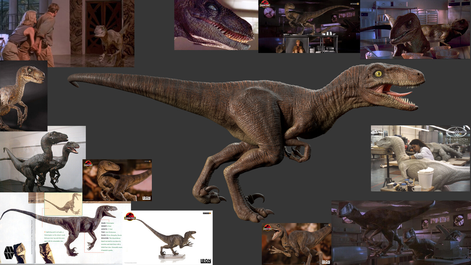 Reference Sheet of Original Jurassic Park Raptor colour concepts