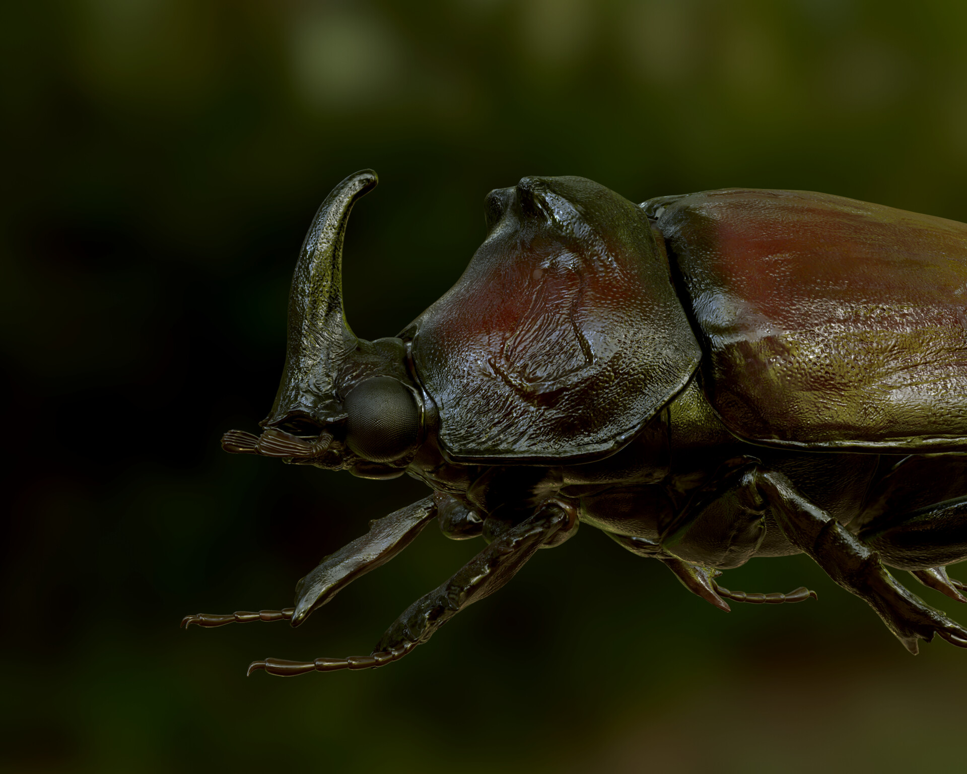 rhino beetle pbr.