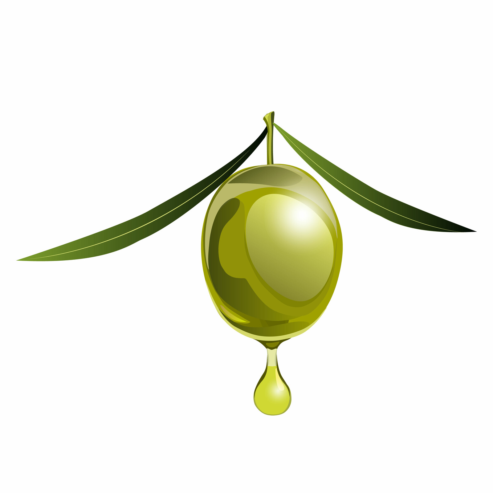 OLIVE LABEL VECTOR 4