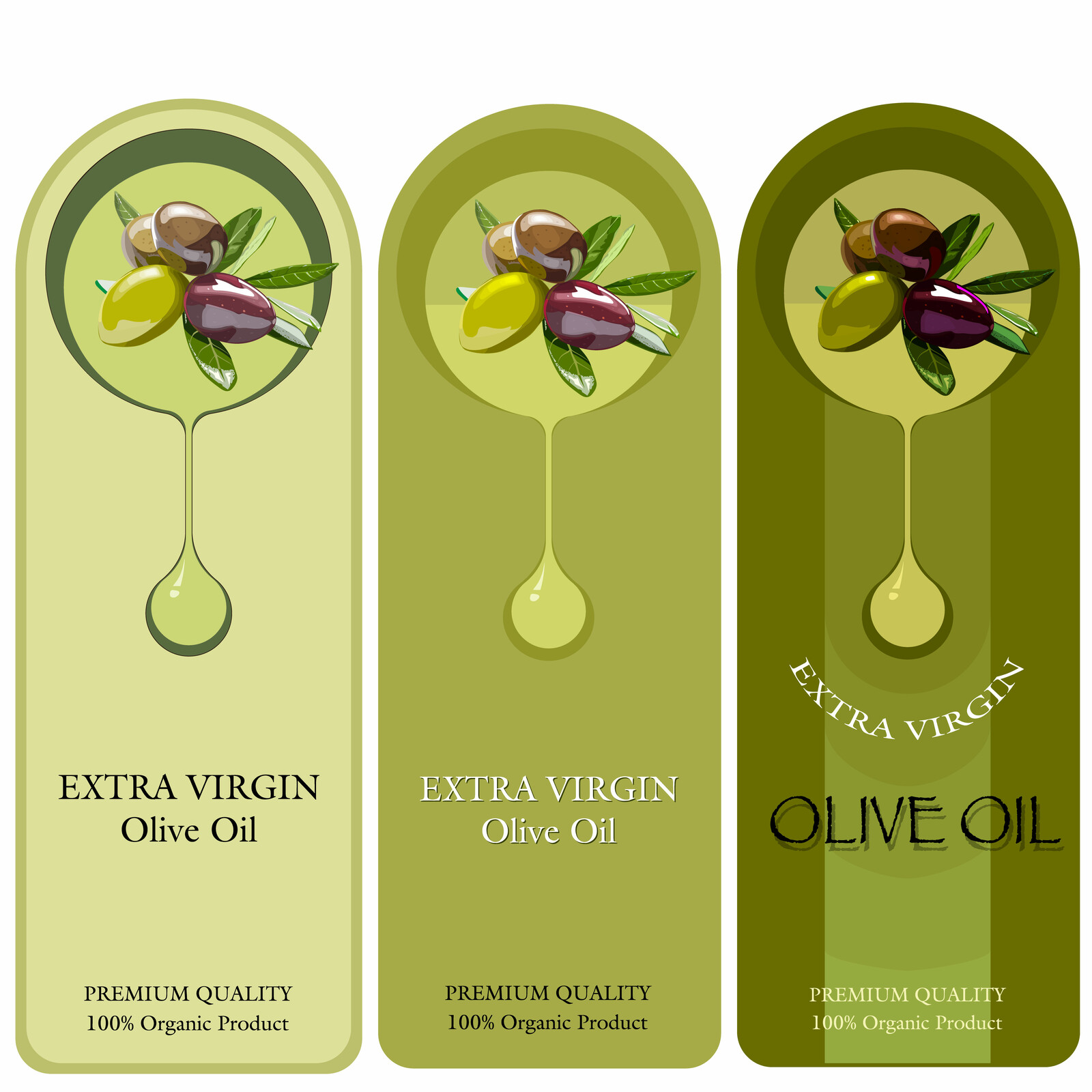 OLIVE LABEL VECTOR    8                                                                              