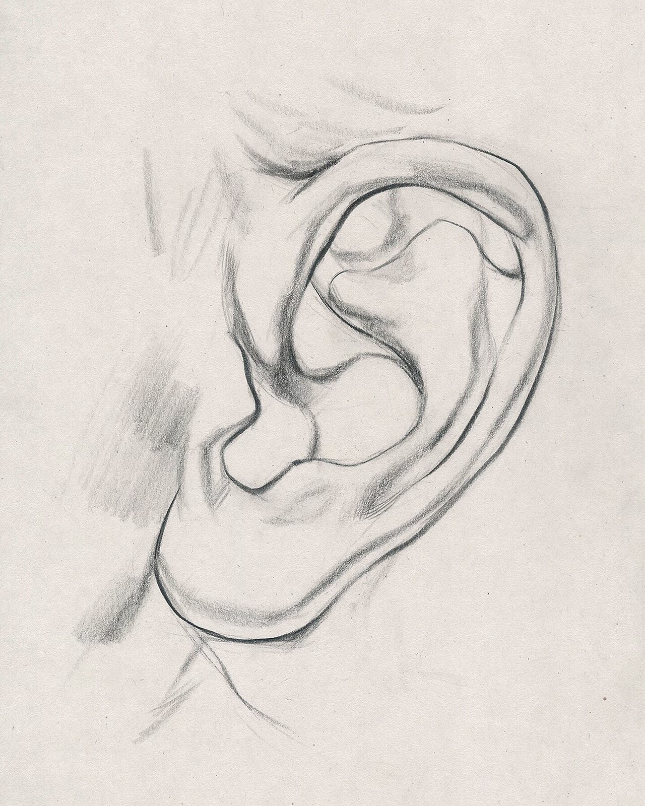 Уха поэтапно. Ухо рисунок. Зарисовки ушей. Ухо карандашом. Рисунок уха.