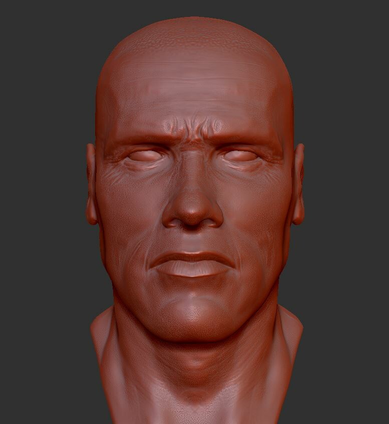 Quick Arnold/Terminator zbrush sketch/practice... trying to learn to capture likeness.