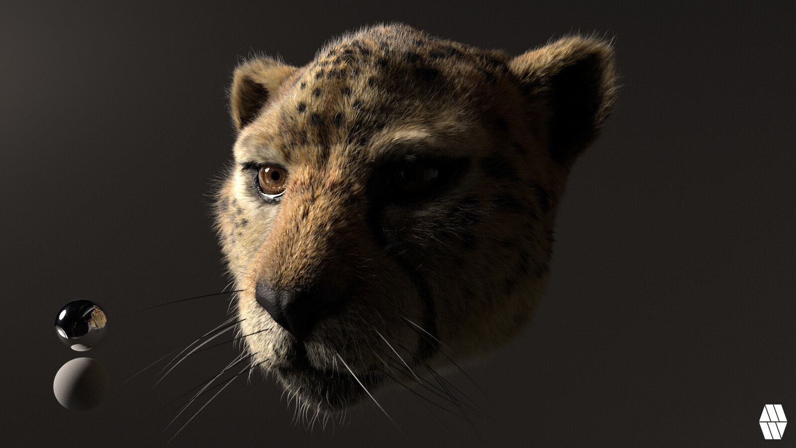HDRI Studio lit 01