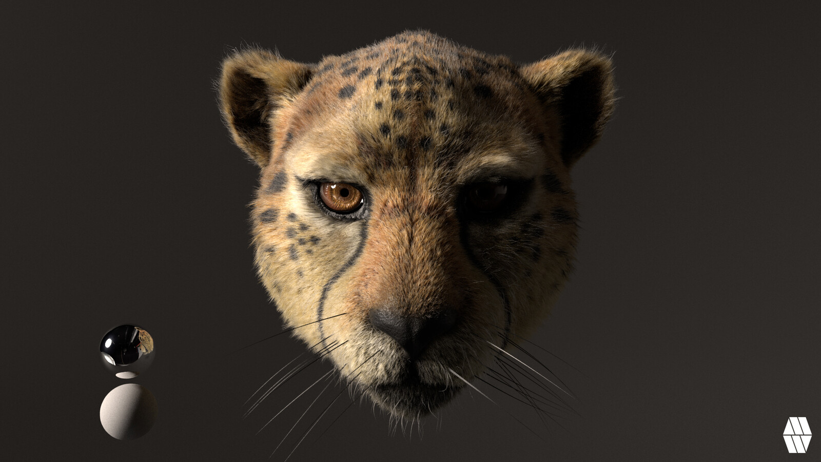 HDRI Studio lit 02