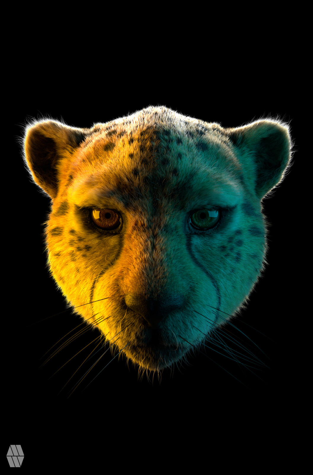 Cheetah Bust Study (Xgen Fur) Personal project 